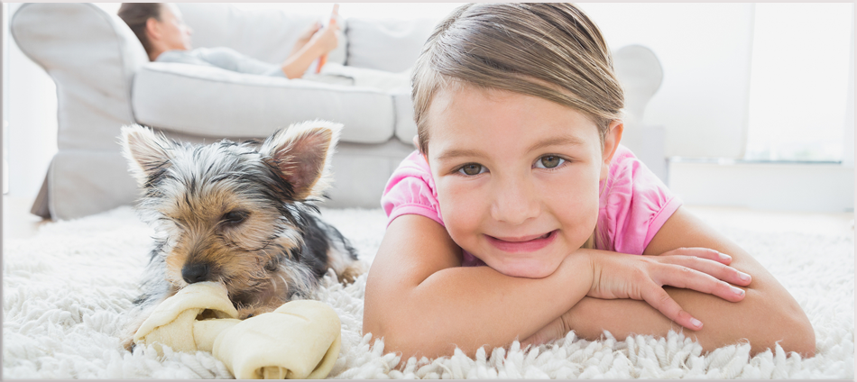 residential home carpet cleaning